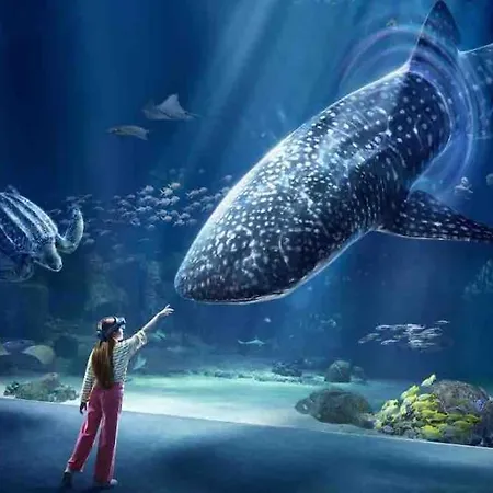 酒店 Evasion 滨海布洛涅